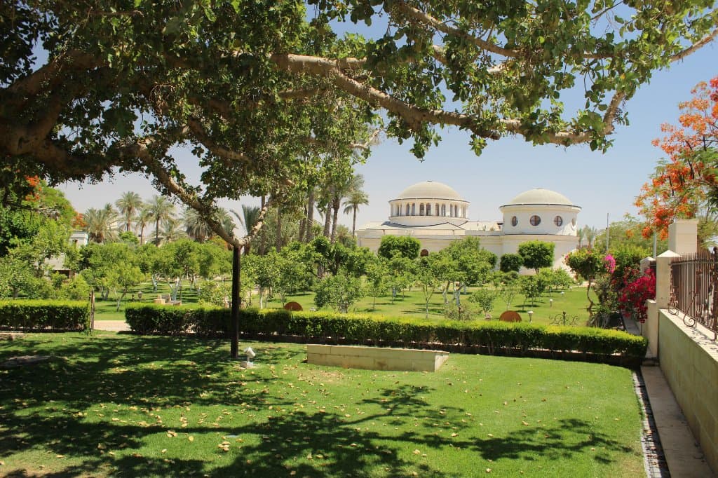 Jericho: Maulbeerbaum des Zachäus (Zacharias) שקמה جميز