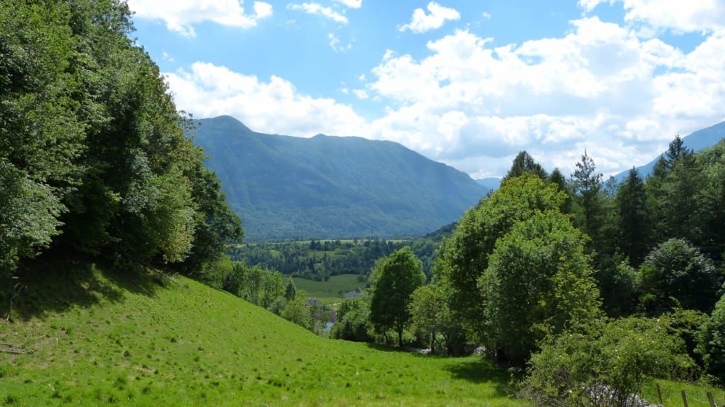 WANDELPAD NAAR BATTERIJ CELO 