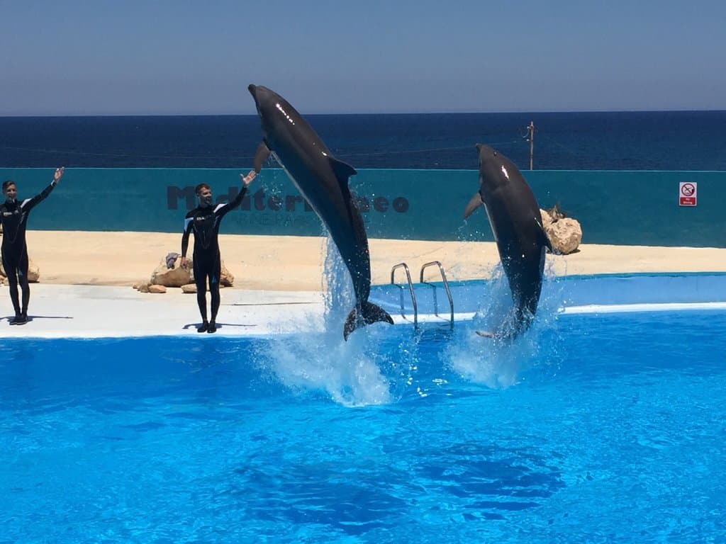 Mediterraneo Marine Park