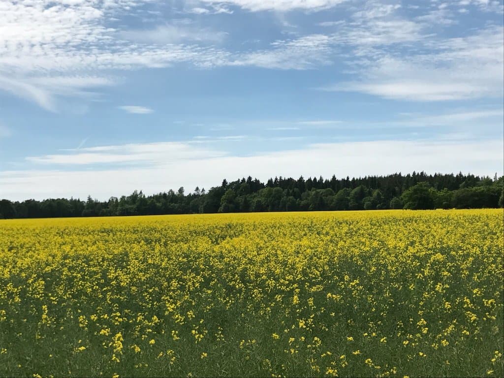 Kaali Meteorite Crater