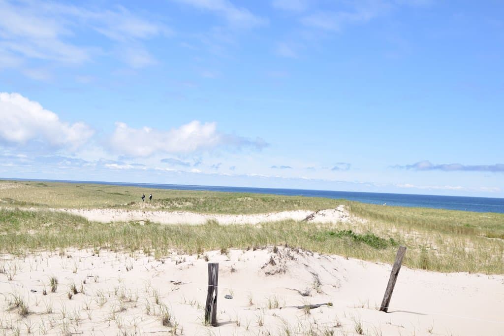 Near Race Point Beach