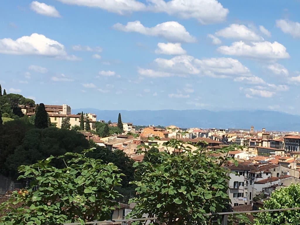 Vista divina