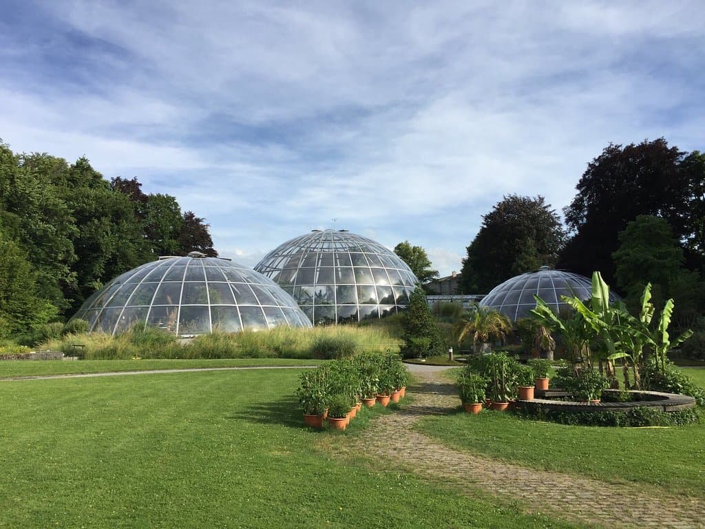 Botanical Garden (University of Zurich) Zurich