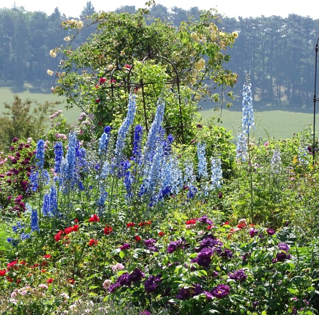mooie botanische tuin, gratis entree, groot park waarvje ook heerlijk kunt relaxen, mooie liggin