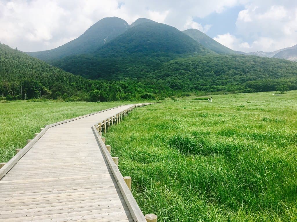 Tadewara Marshland