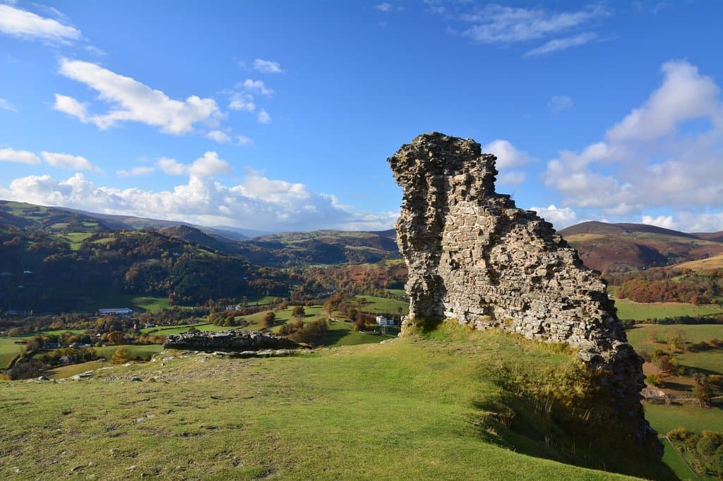 Sunny days are best.