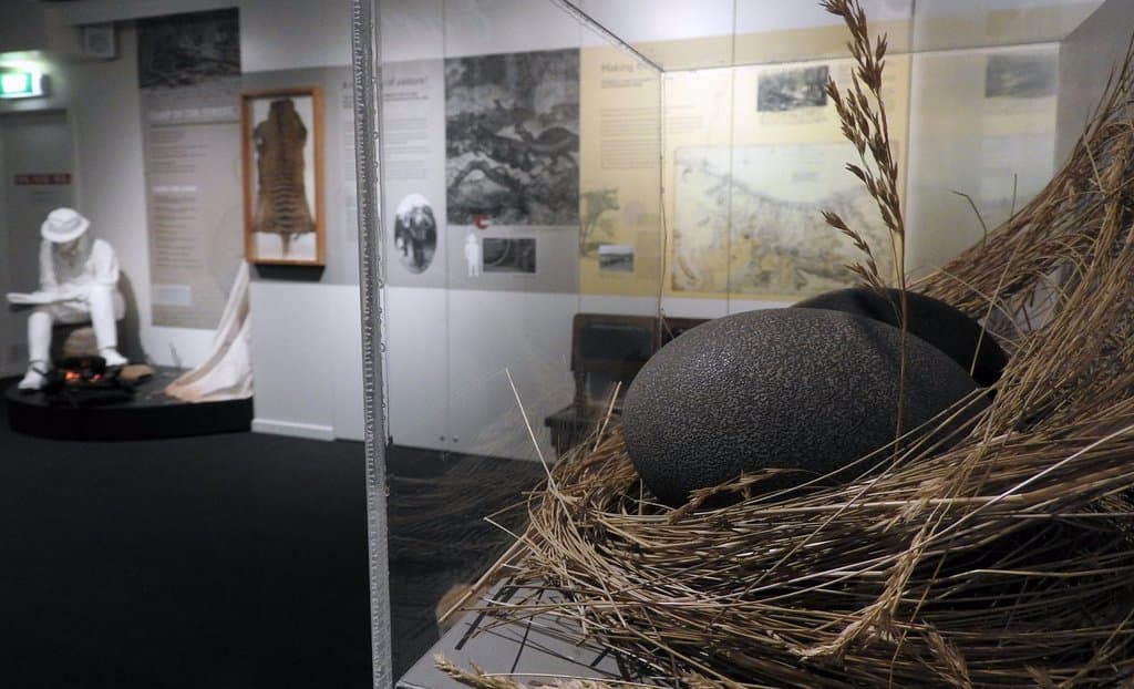 Early Burnie Exhibition