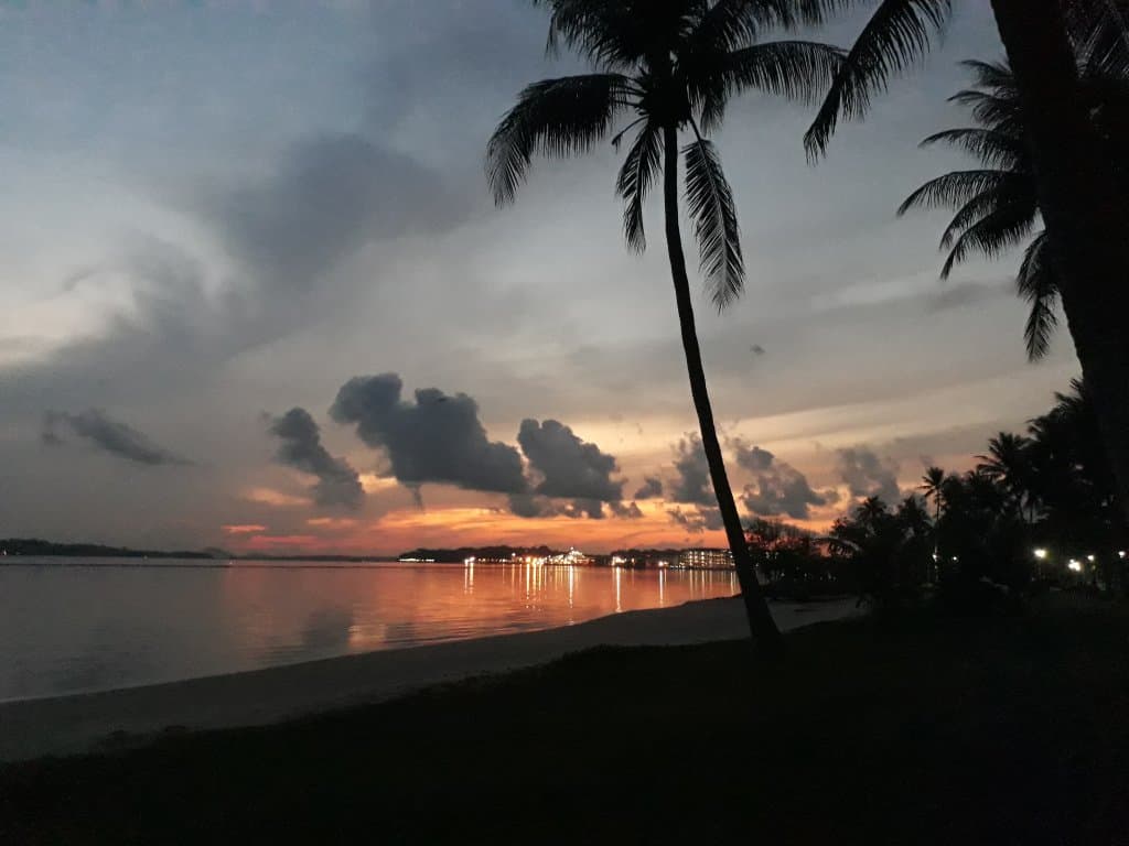 Pasir Kadilangu Mangrove Forest