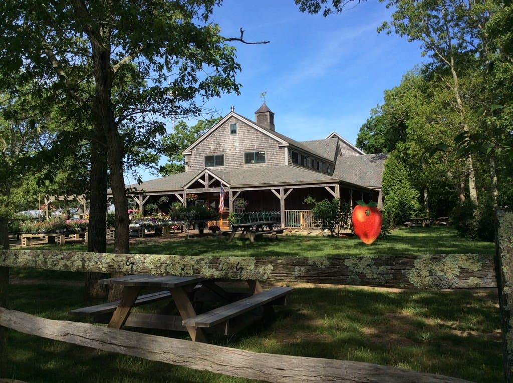 Morning Glory Farm