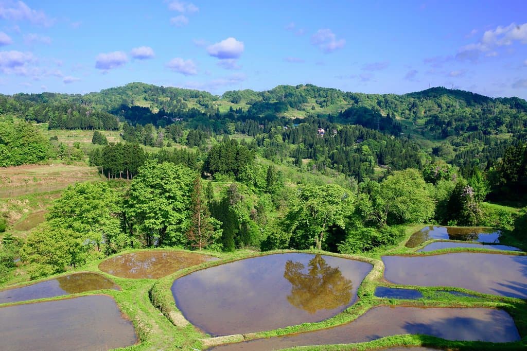 儀明の棚田