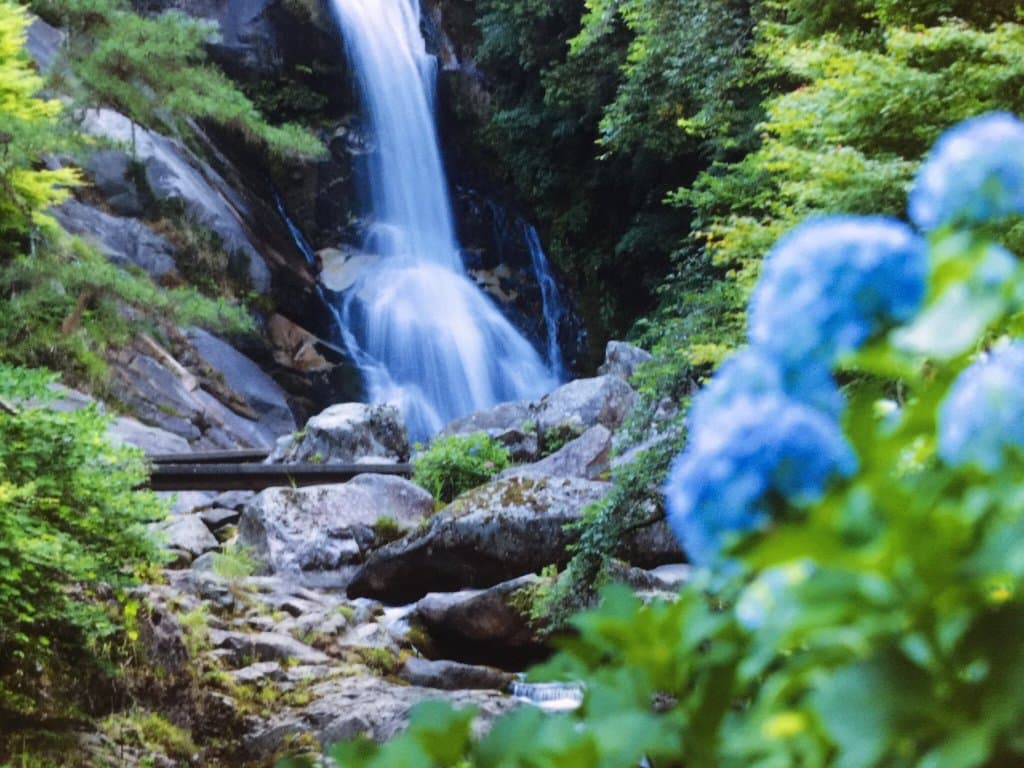 見返りの滝と川すじ