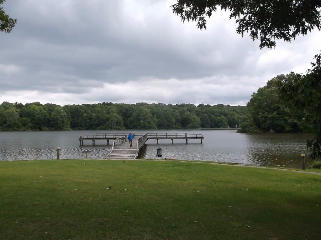 Part of the lake.