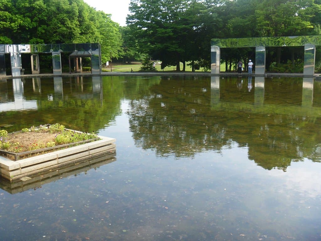 池の様子