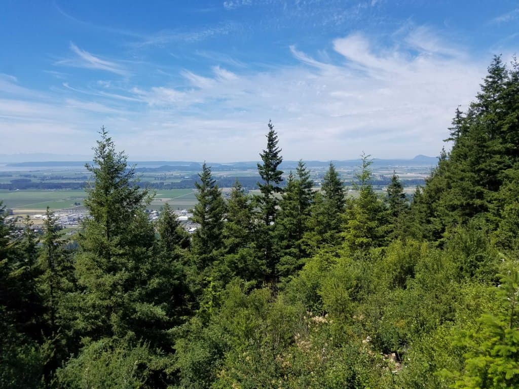 View of Puget Sound and the city of Mt Vernon below