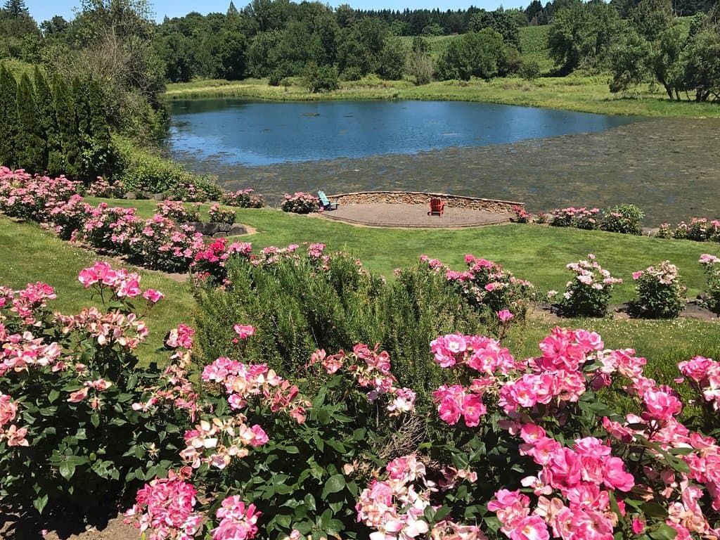 St Josef's Winery