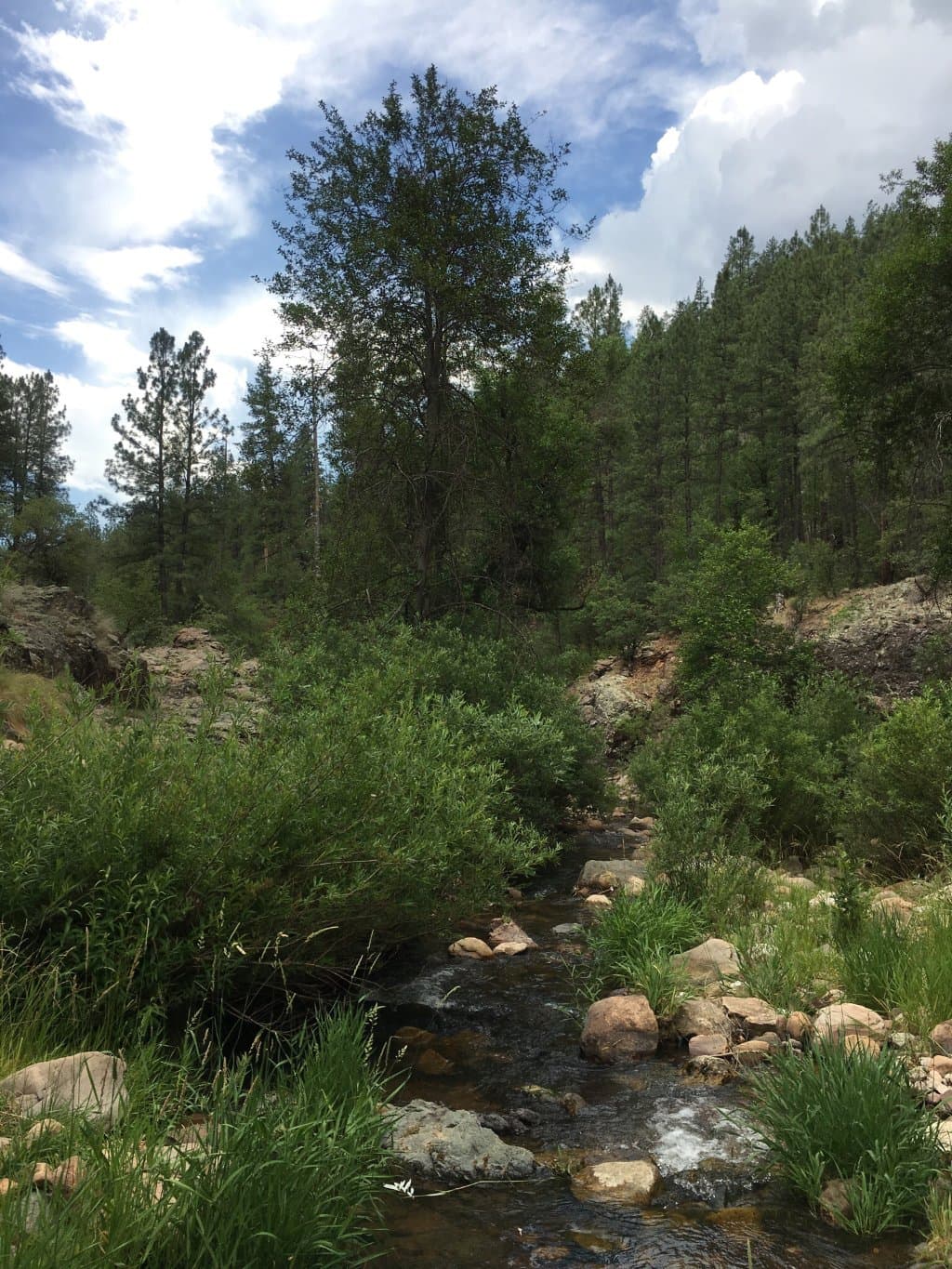 Horton Creek Trail