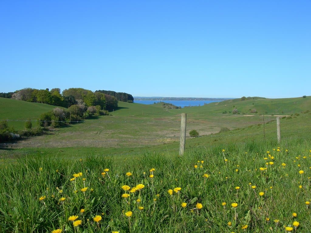 Utsikt över Hilleshögsdalar och Glumslövs backar. Foto: Landskrona stad. 