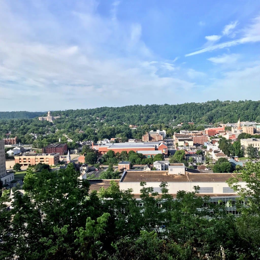 View from the top of the park
