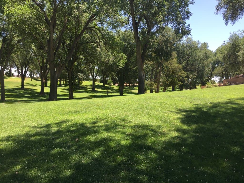 Roosevelt Park
