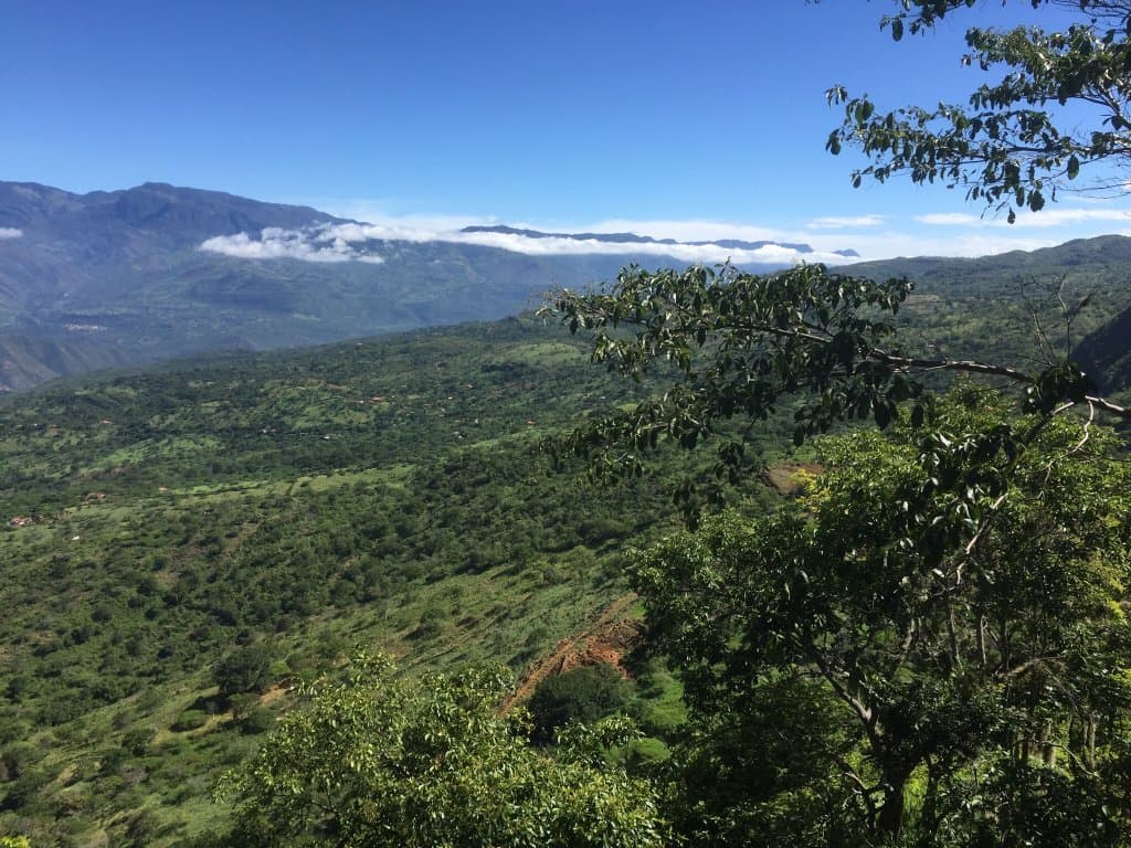Mirador