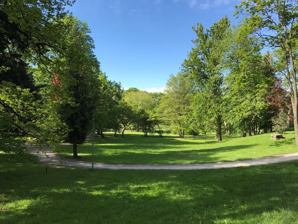 公園でした