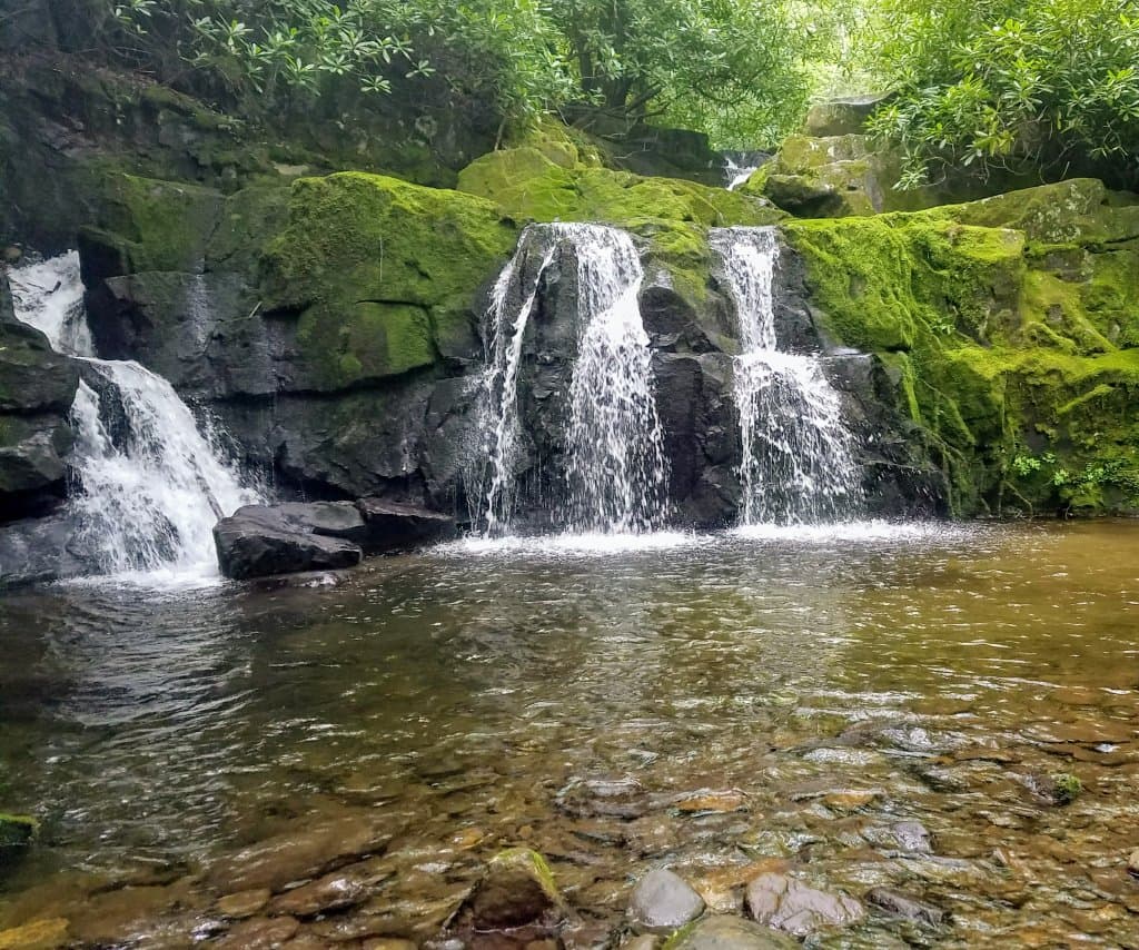 Sites along Middle Prong Trail