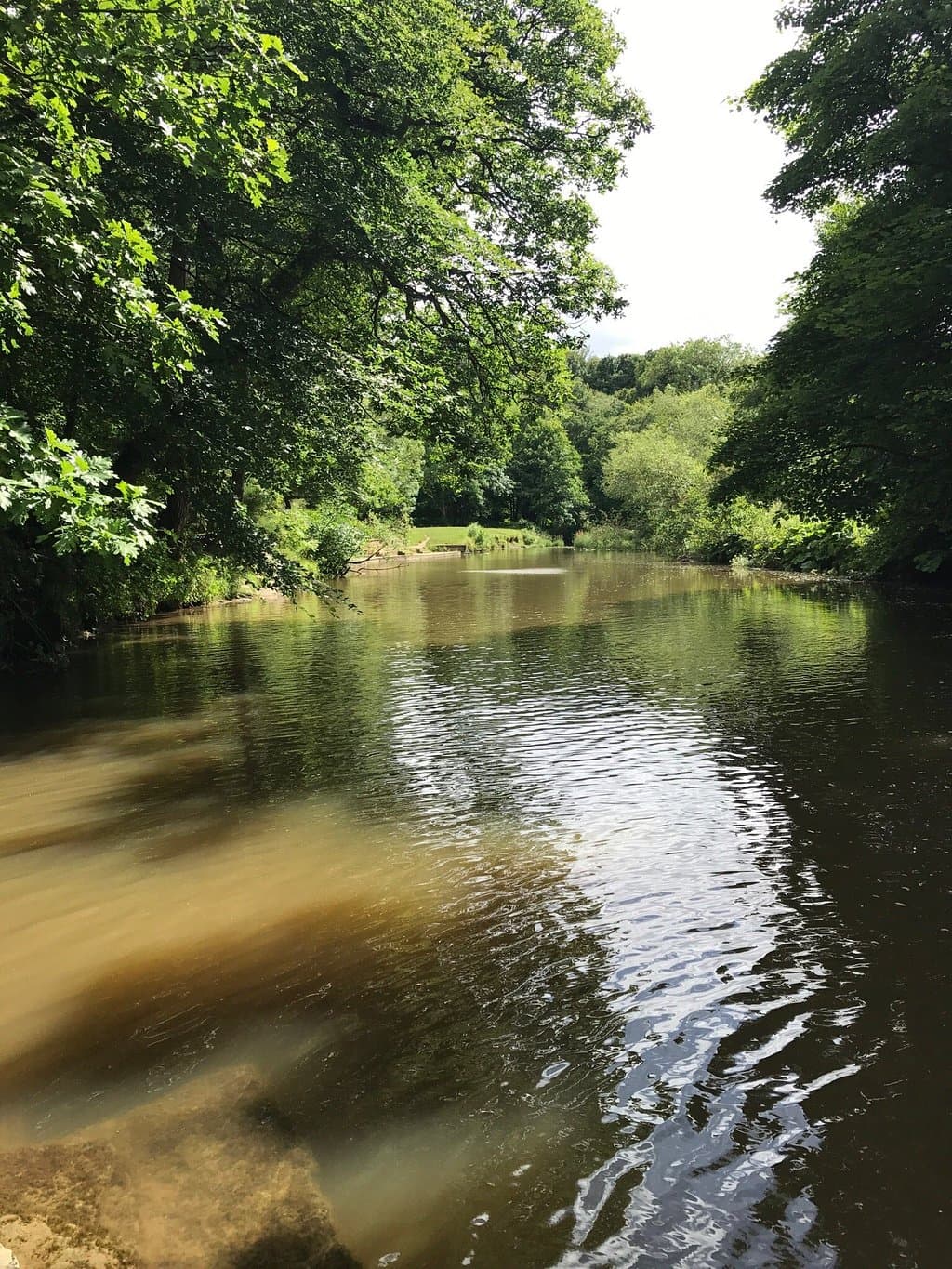 Plessey Woods Country Park