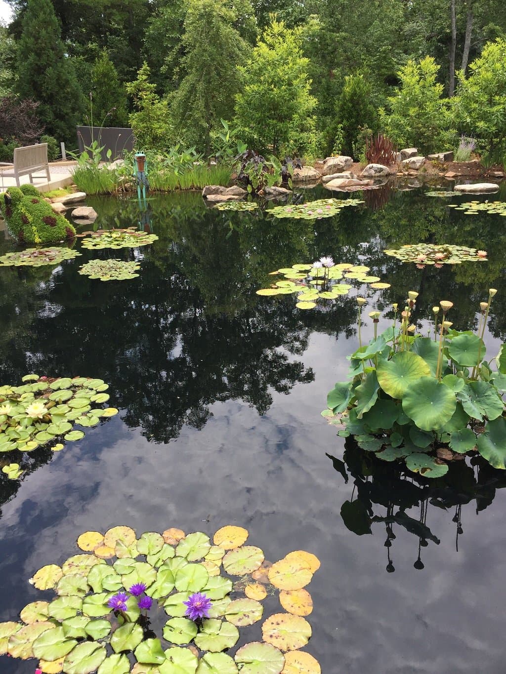 Atlanta Botanical Garden Gainesville