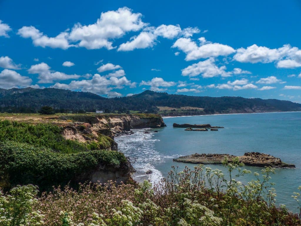Año Nuevo State Park