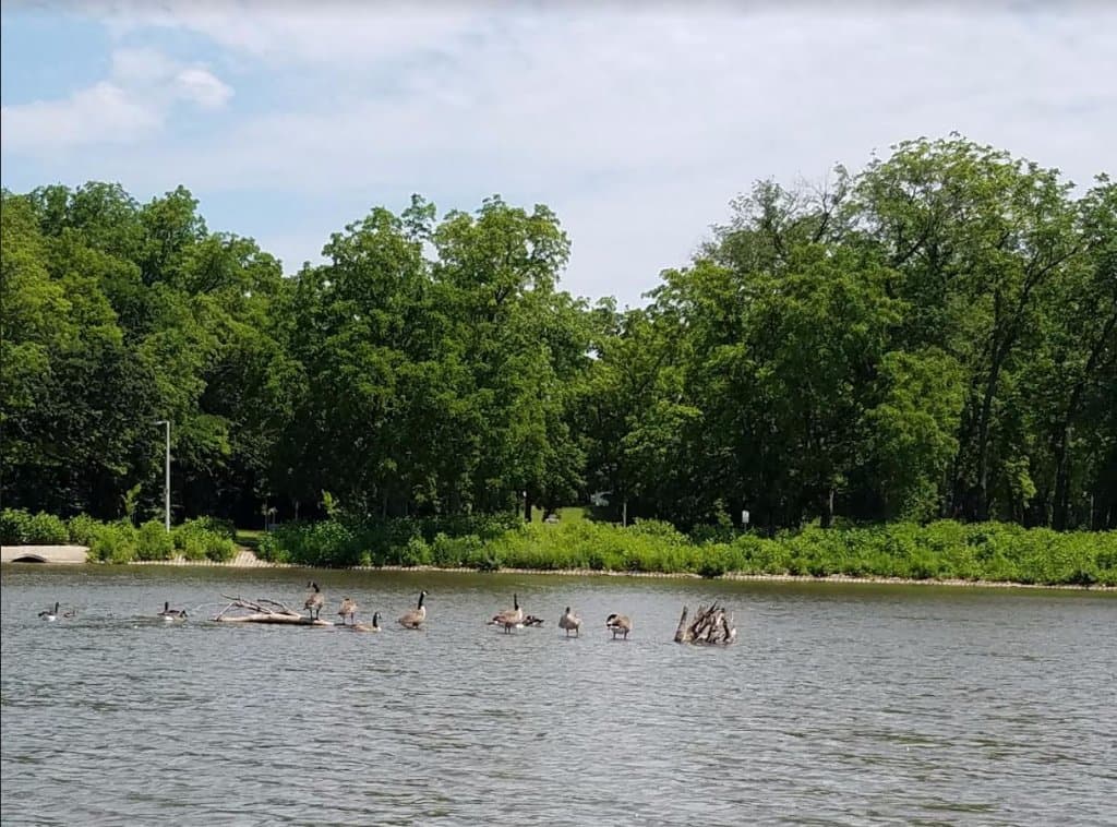 A view of Silver Lake from the paddle boat.