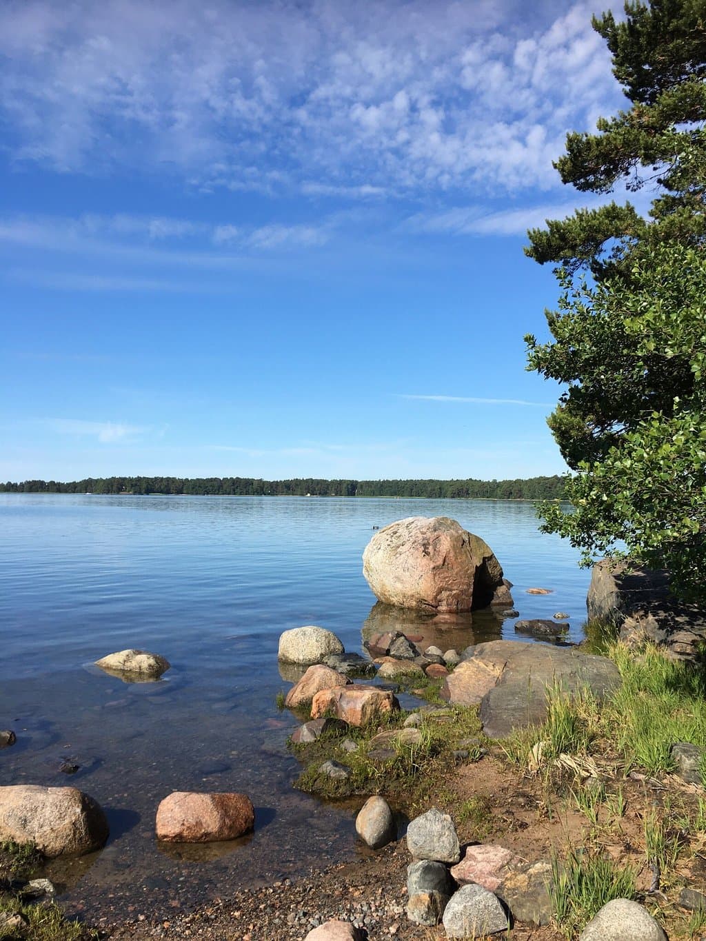Uutela Nature Area