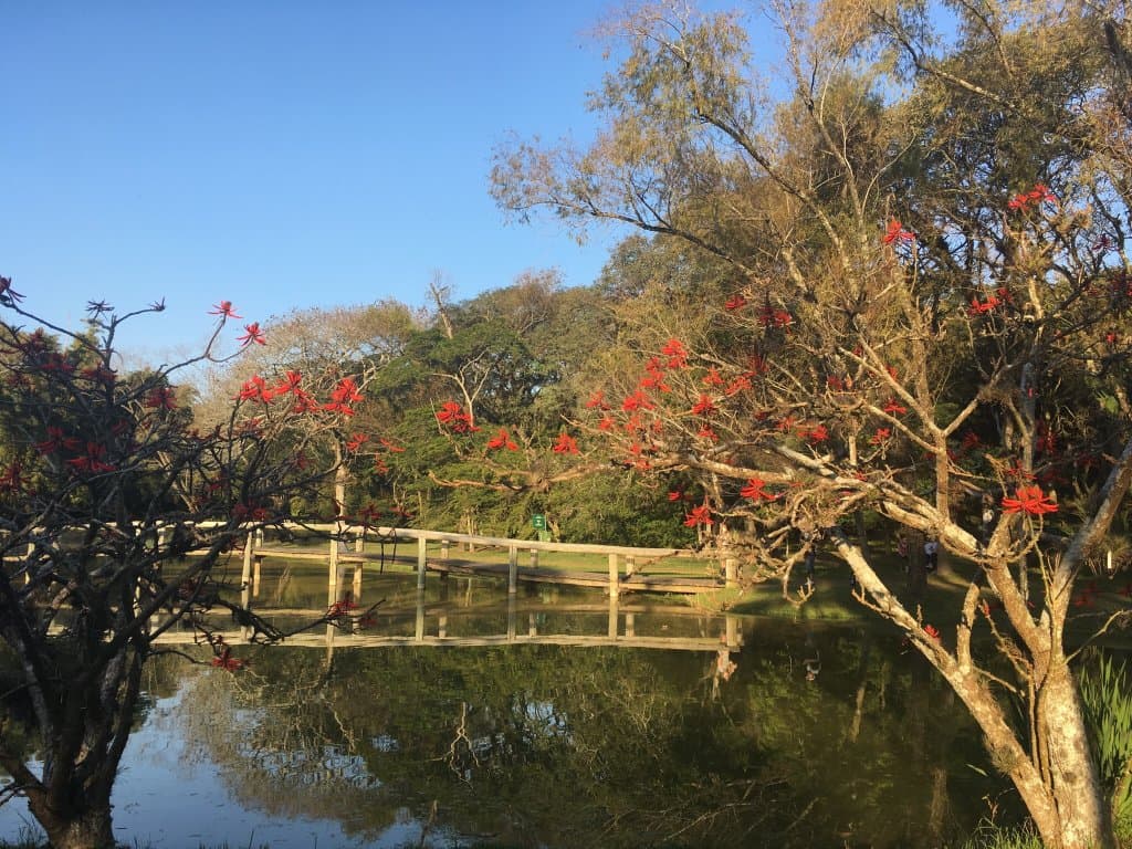 Jardim Botânico