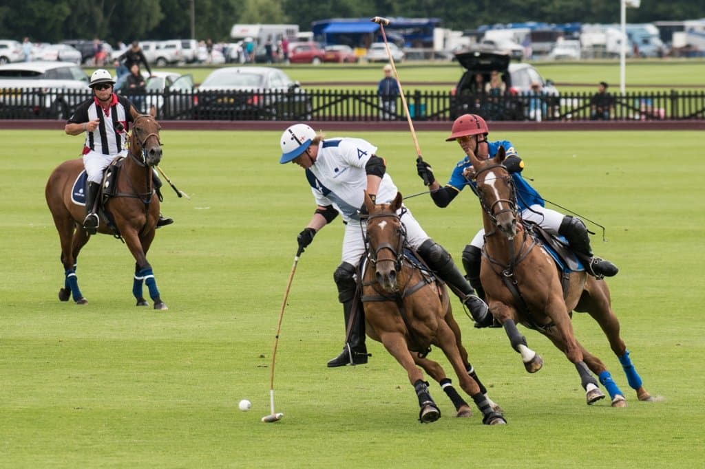Polo action