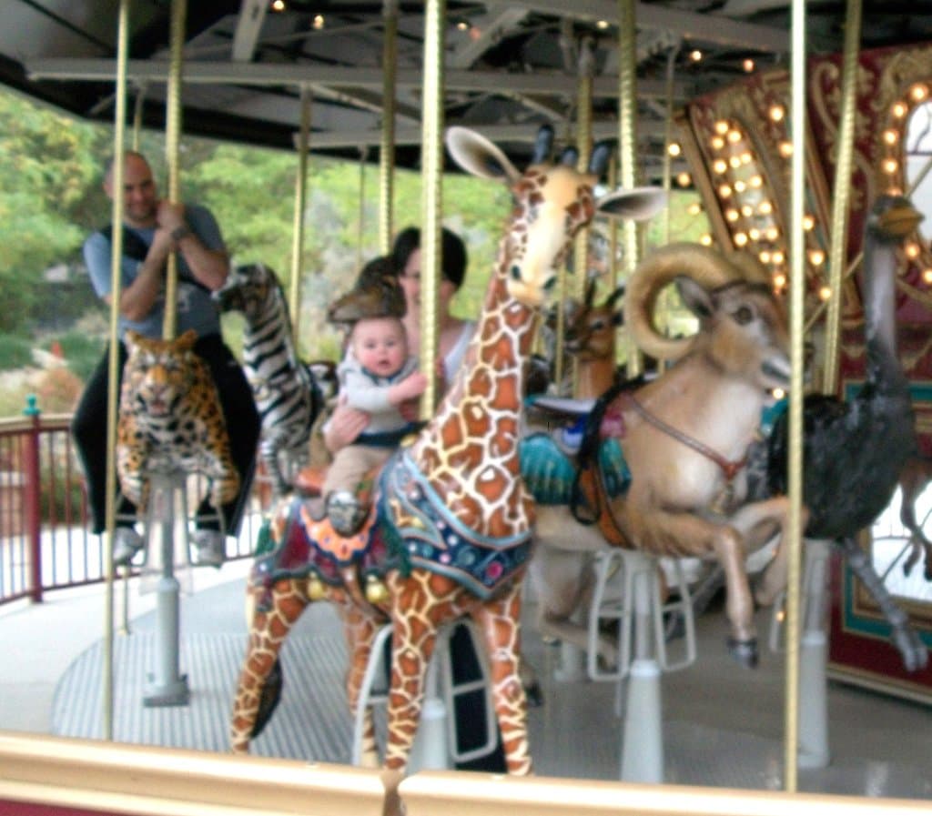 Don't miss the Flying Horses at oak Bluffs