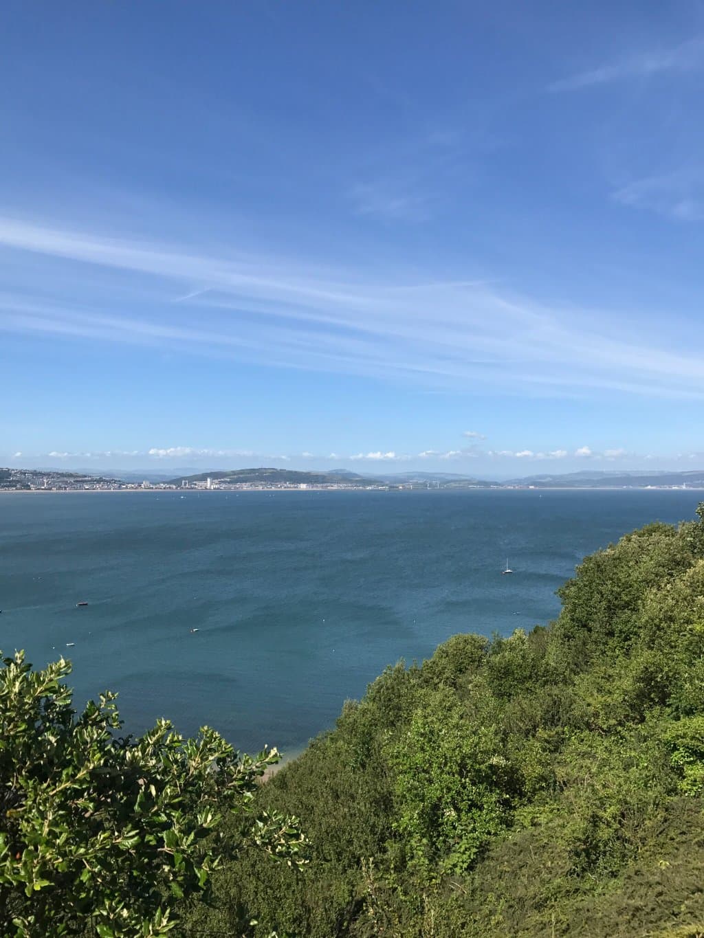Mumbles Hill Local Nature Reserve