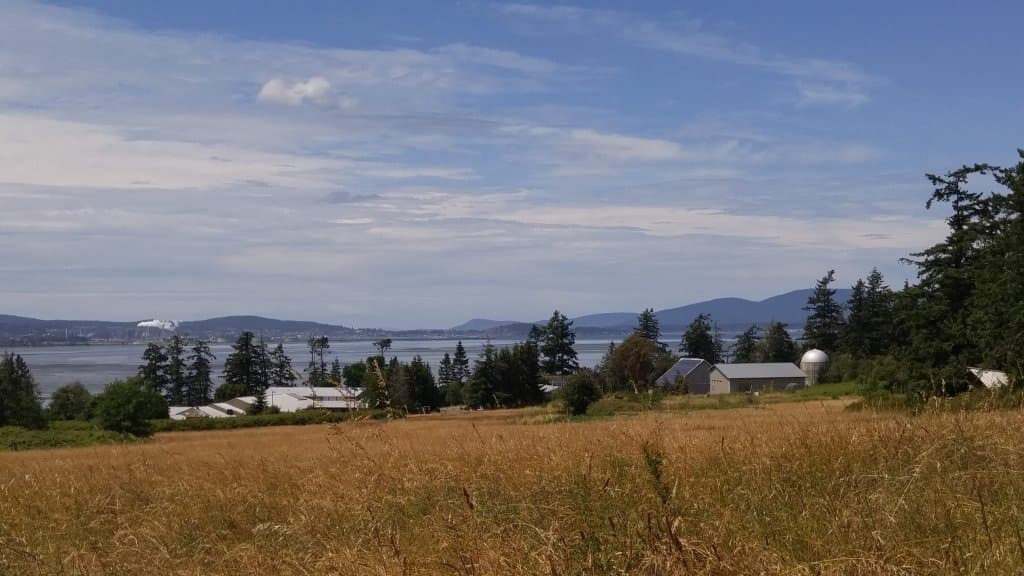 Taken fom trail behind interpretive center