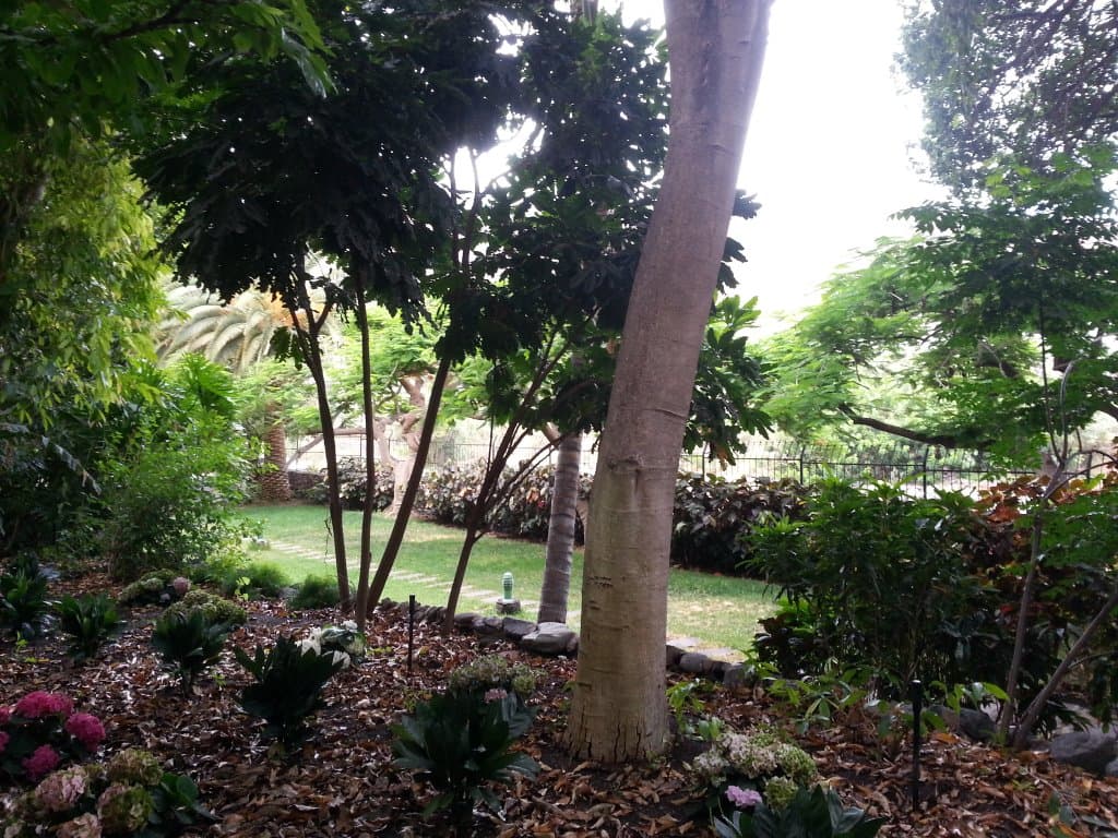 Huerto de las Flores