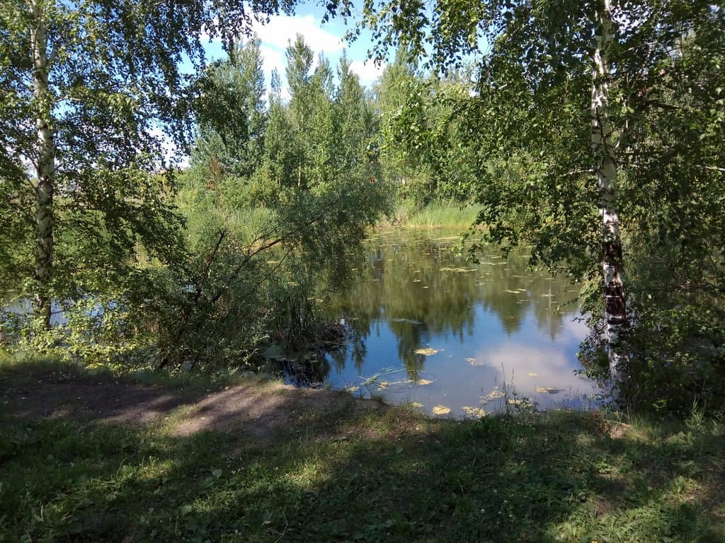 Пруд 1