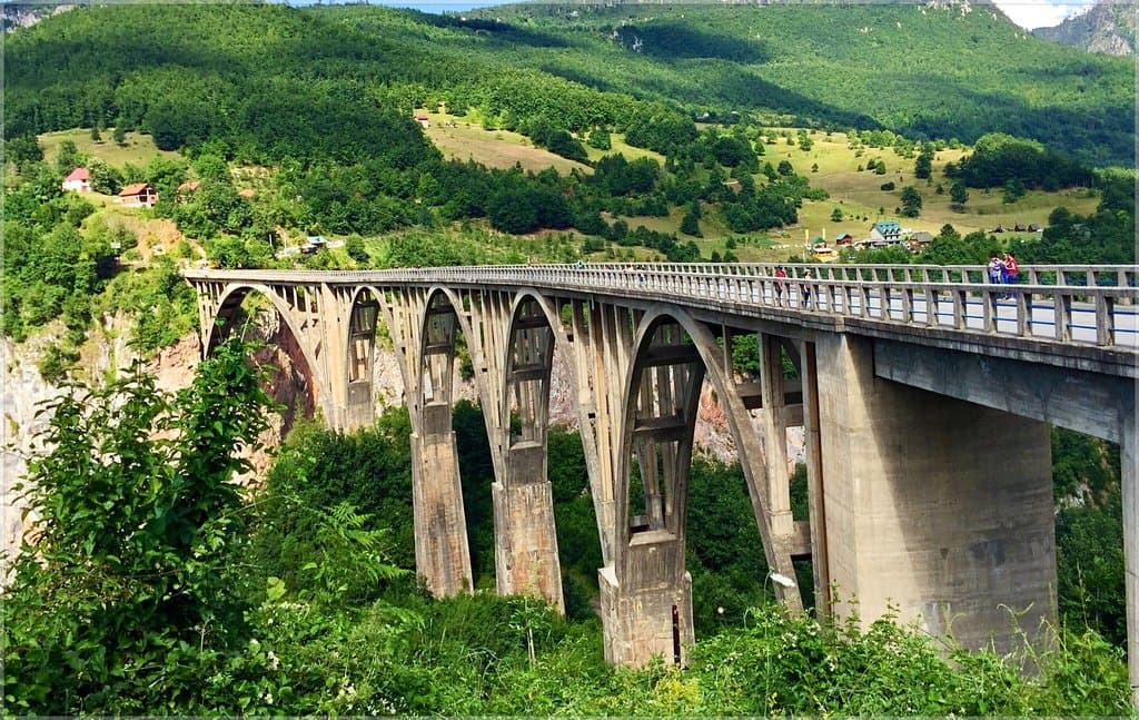 Tara bridge
