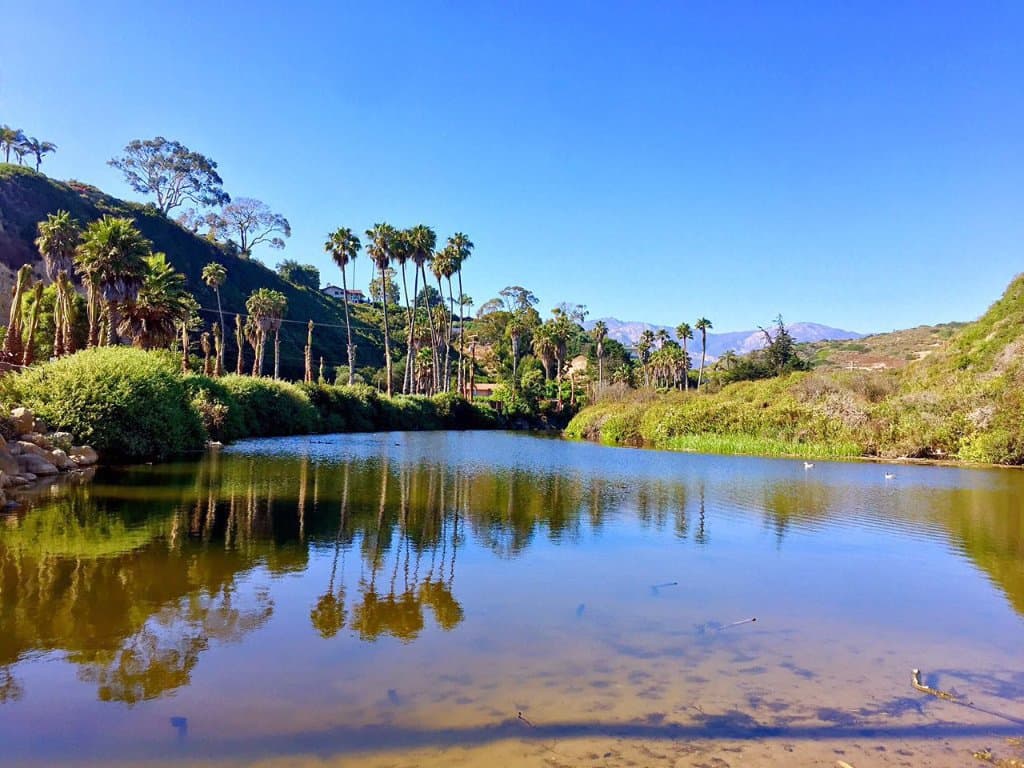 Arroyo Burro County Beach Park 18