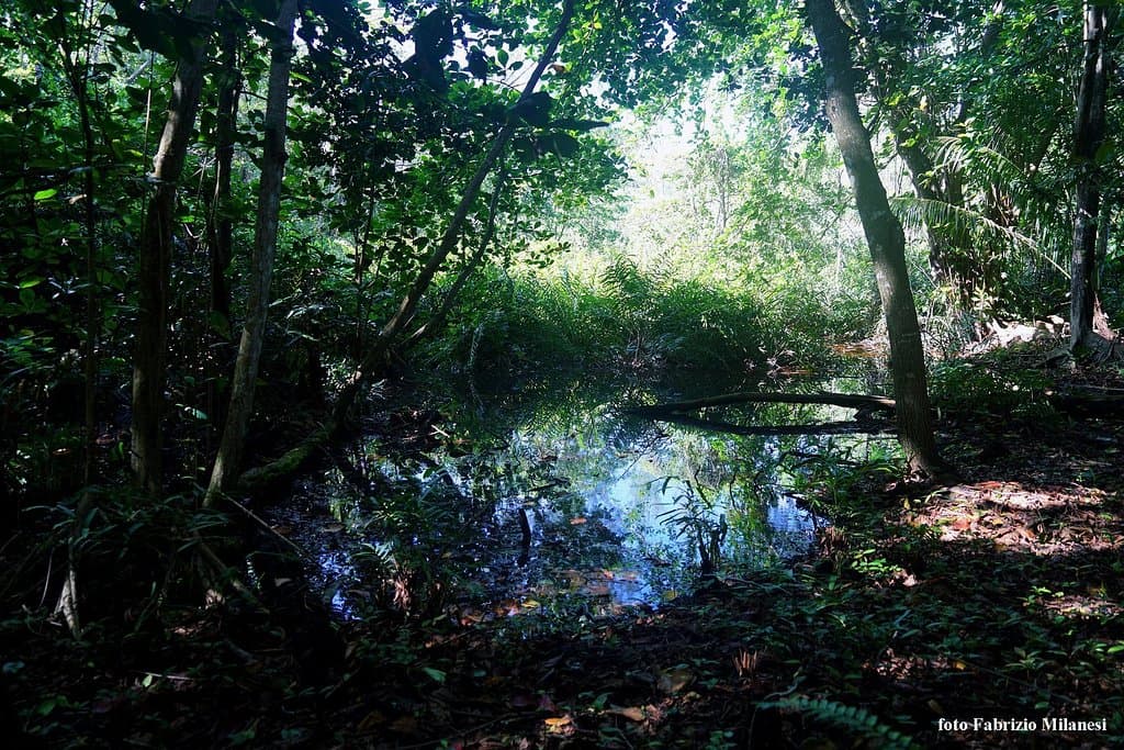 Uno scorcio lungo il sentiero