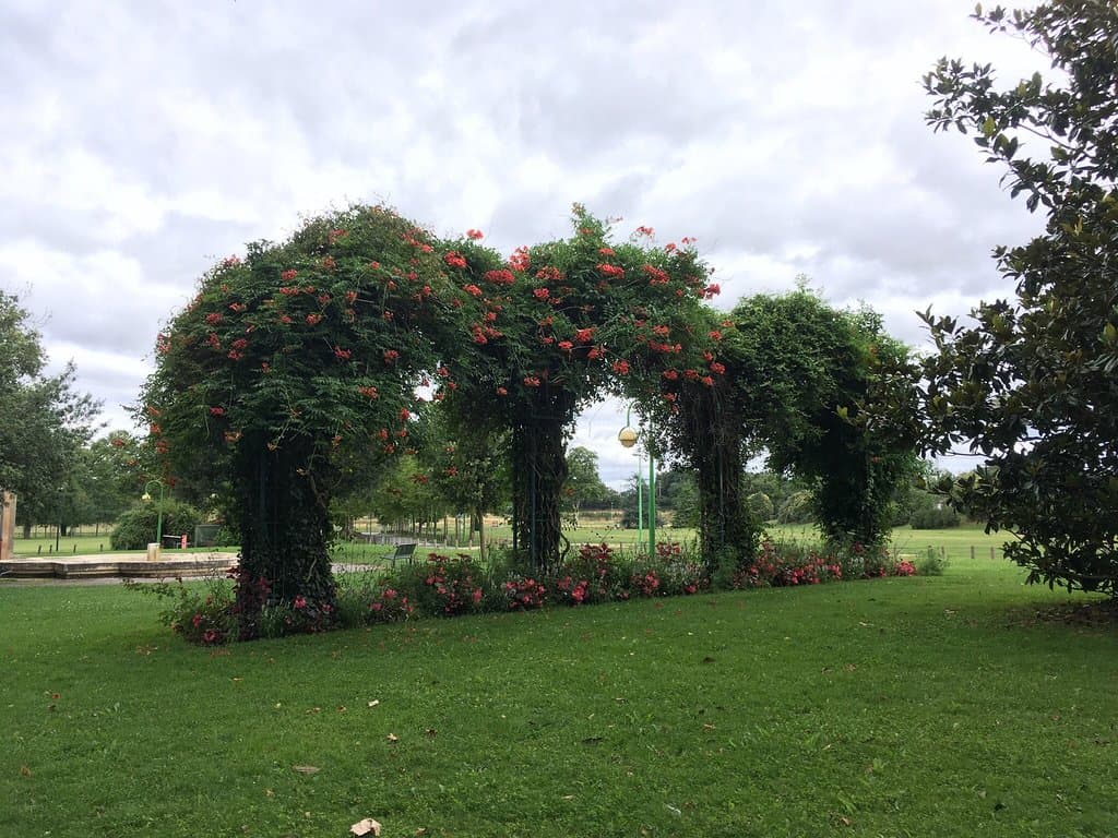 Parc de Gourjade Castres