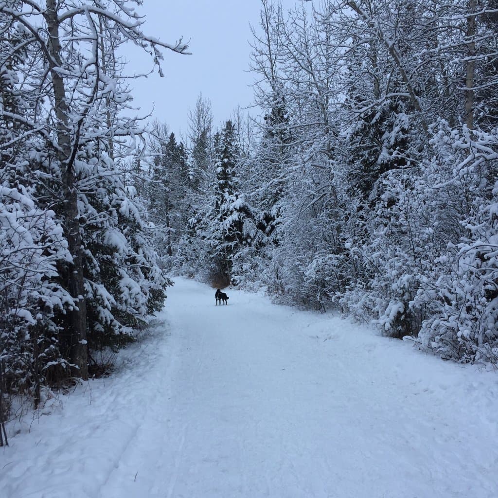 Three Mile Bend