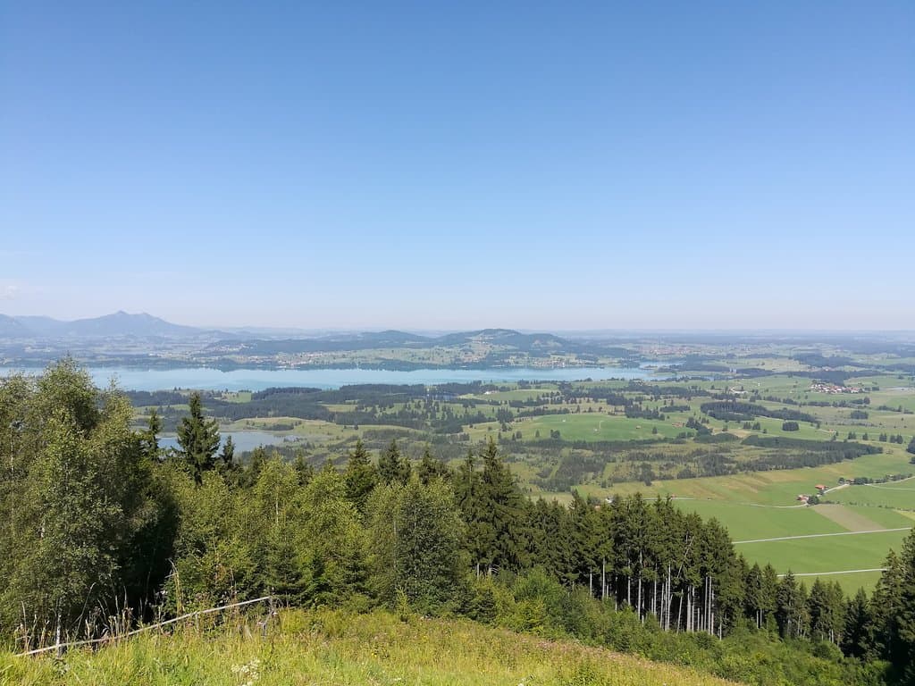 Blick vom Buchenberg