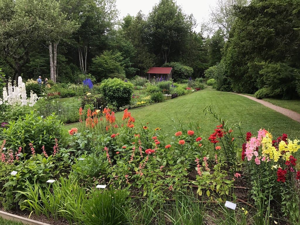 Thuya Garden