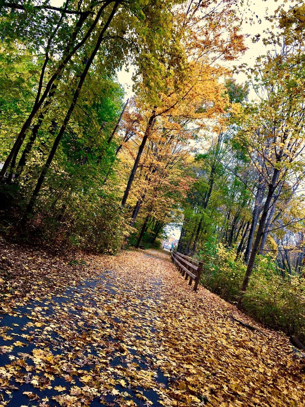 Bruce Freeman Trail