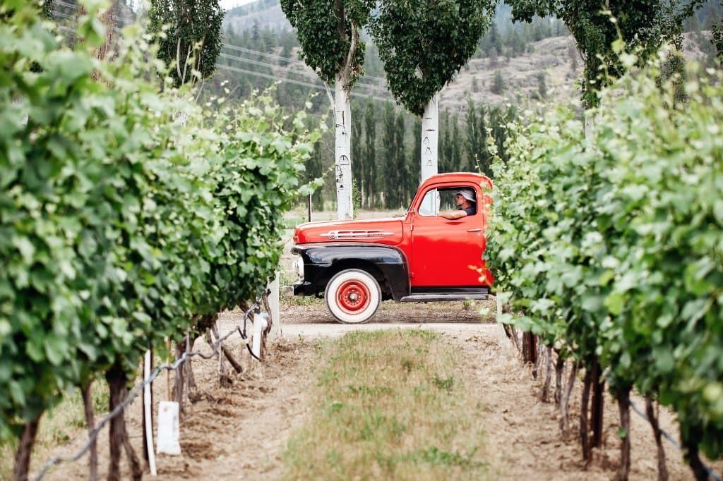 Farm Tours in our 1952 Mercury Truck