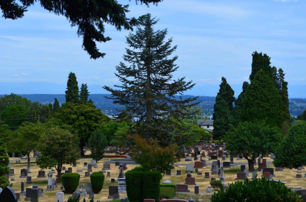 cemetery