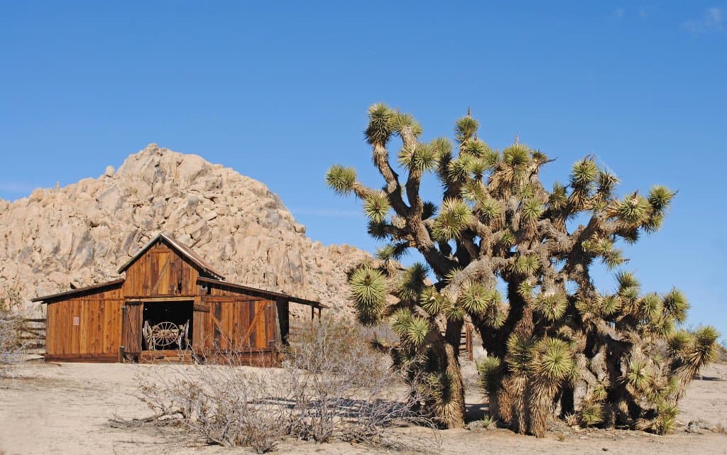 Nature Trail Behind the Museum