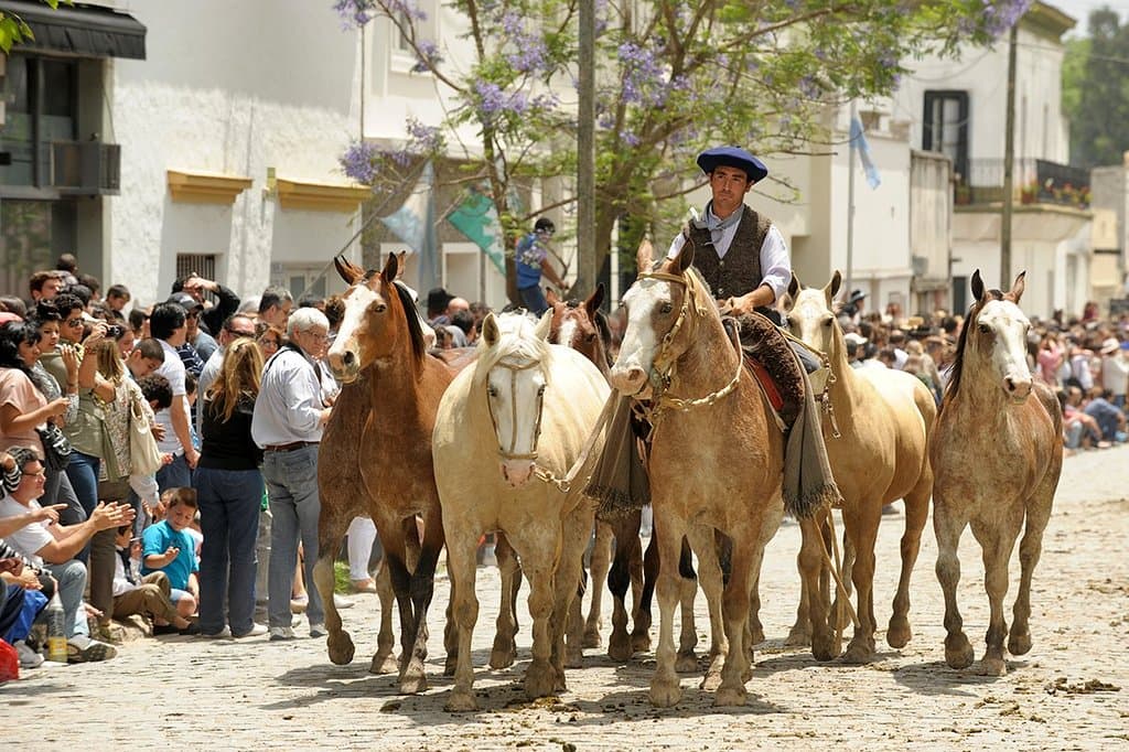 Fiesta de La Tradicion